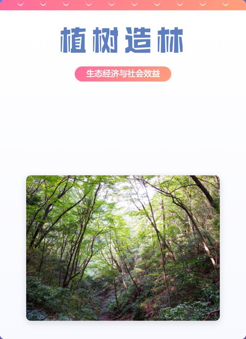 植树造林:生态经济与社会效益